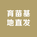 逾言育苗基地