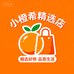 小橙希精选店