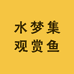 水梦集观赏鱼