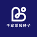千家菜园种子