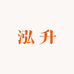 泓升食品