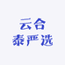 云合泰严选