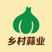 乡村蒜业供销社