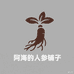 阿海的人参铺子