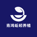 青鸿户外
