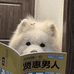 汉堡鹅腿