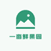 一亩鲜果园水果店