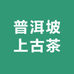 普洱坡上古茶