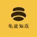 龟途知返