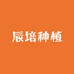 辰培种植