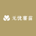 无忧薯苗