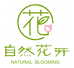 自然花开FLOWER同城