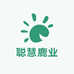 聪慧鹿业滋补专营店