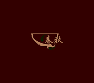 盏见识