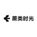蕨类时光