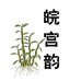 皖宫韵滋补养生旗舰店
