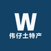 伟仔土特产
