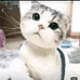 小花猫图书