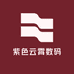 紫色云霄数码