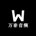 万泰音频平价店
