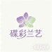 蝶彩兰艺