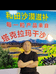 和田农特产店
