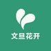 文旦花开
