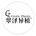 翠泽异植CZ Exotic Plants
