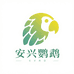 安兴鹦鹉养殖基地