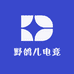 野鸽儿电竞
