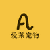 爱莱宠物