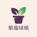 紫蕴绿植园艺