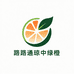 路路通琼中绿橙