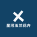 星河玉兰花卉
