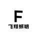 飞翔照明