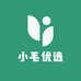 小毛严选店铺