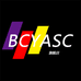 Bcyasc户外配件旗舰店