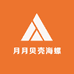 月月贝壳海螺