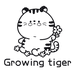 Growing tiger
