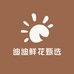 迪迪鲜花甄选