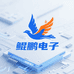 鲲鹏电子科技