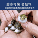 顺顺宠物世界