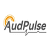 AudPulse东莞市鸿音博电子科技有限公司影音专卖店