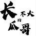 长不大的瓜哥