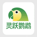 灵跃鹦鹉养殖基地