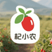 杞小农宁夏农家枸杞