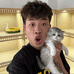 大嘴精品猫宠物店