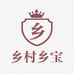乡村乡宝