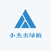 小杰卖绿植