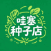哇塞种子店